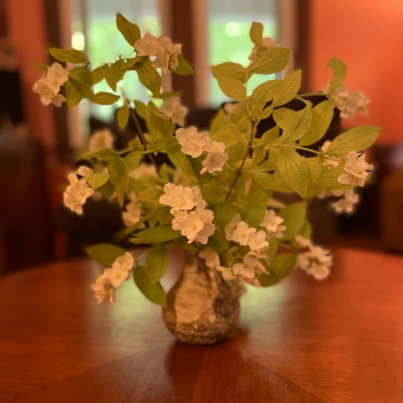 Meet your Posher, Sree - Picture 2 of 2